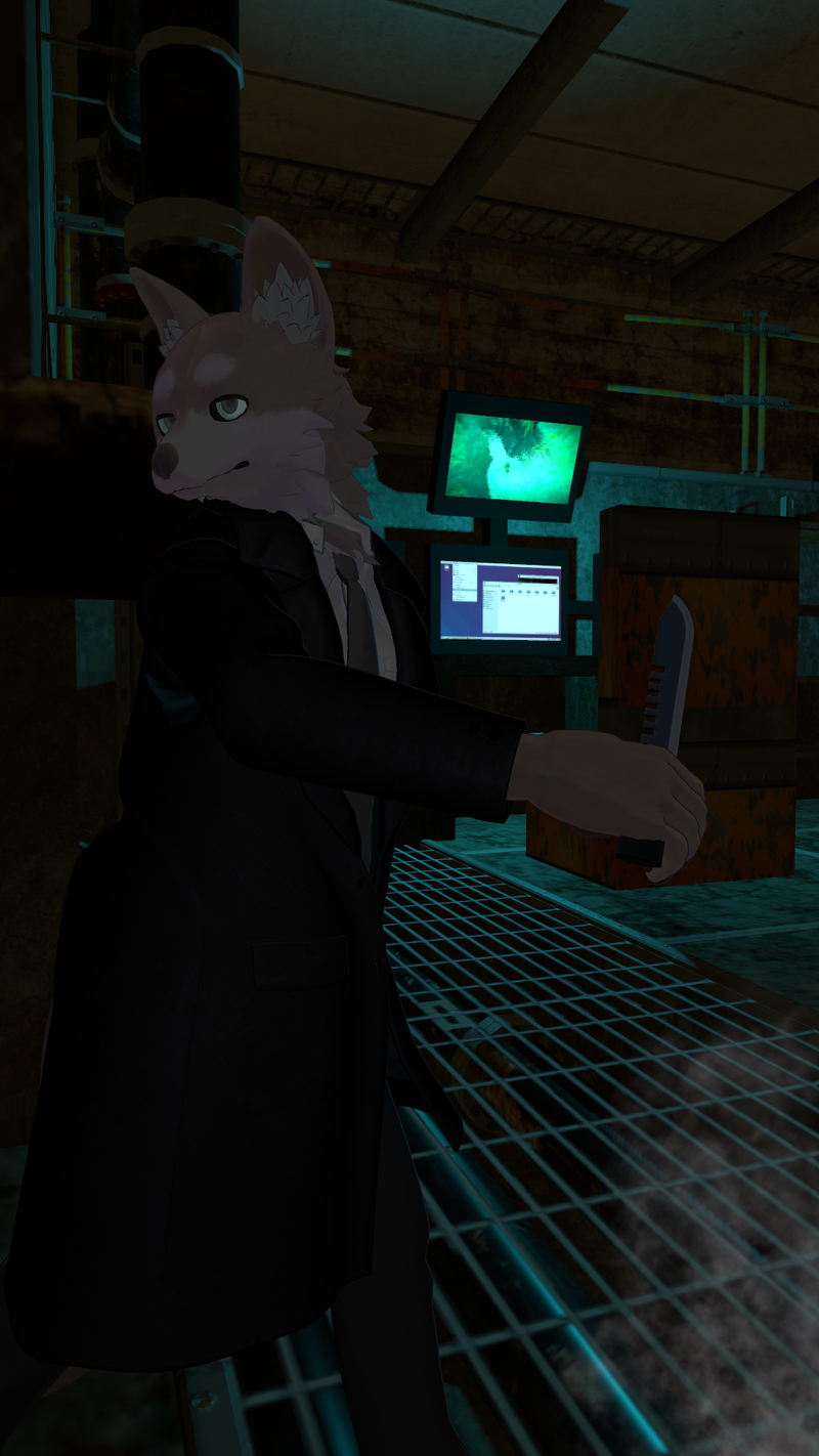 Scenes of Young HowlHeart